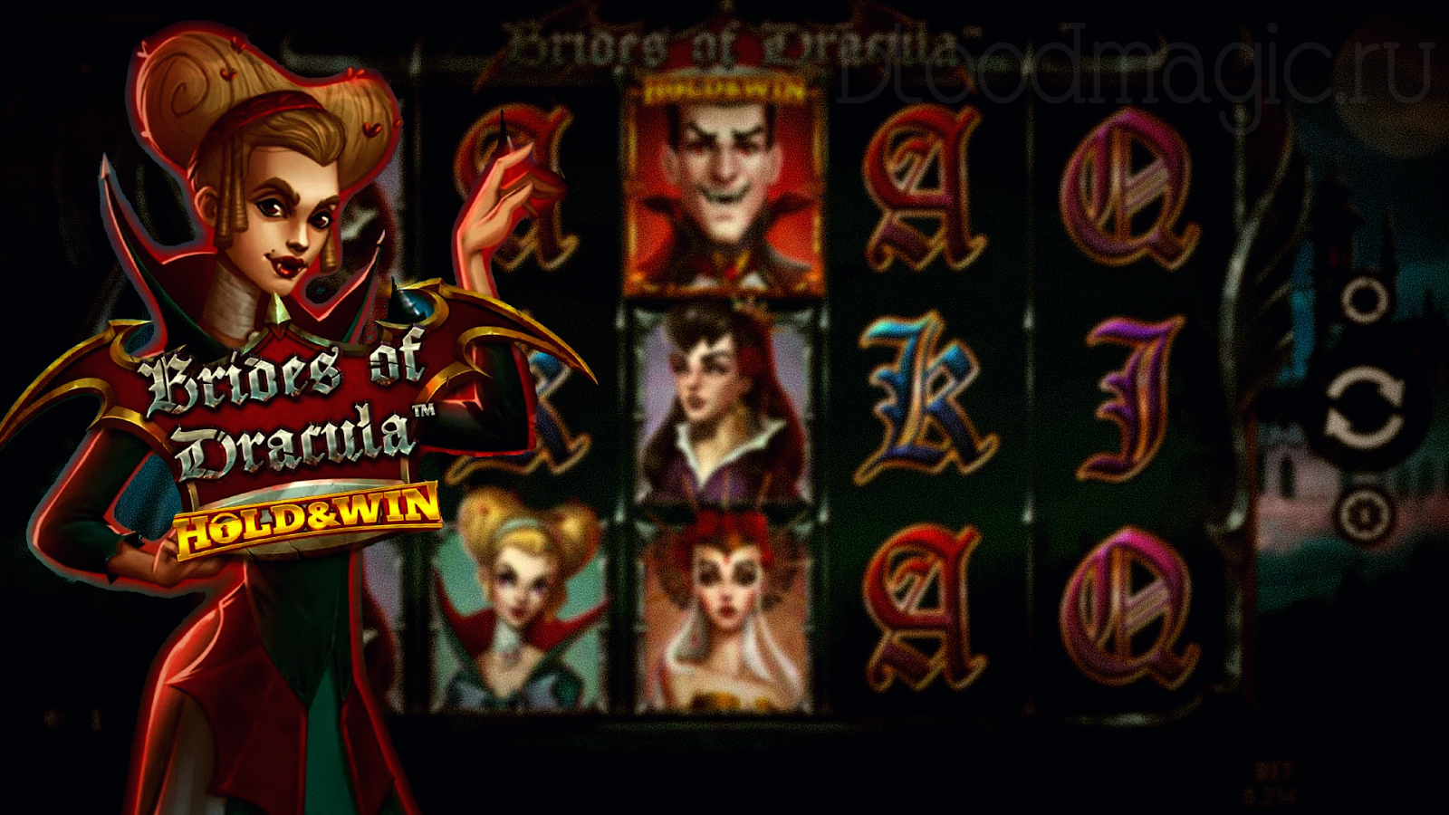 Механика в слоте Brides of Dracula Hold & Win